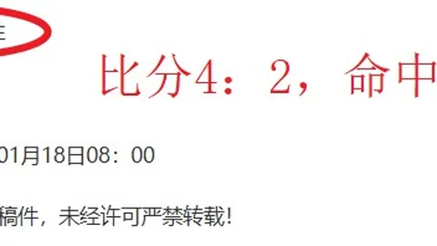 那不勒斯斷然回絕德甲英超球隊對埃爾馬斯的收購提議。